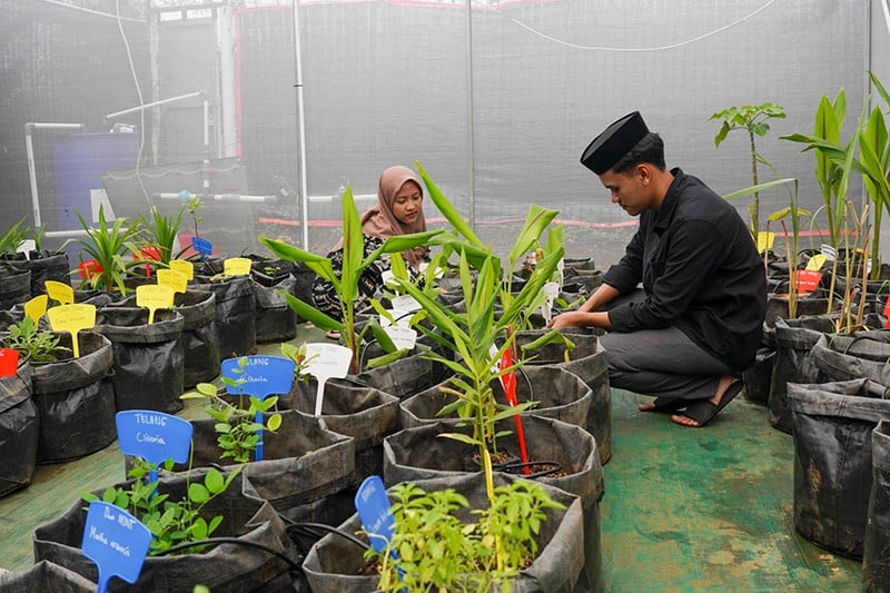 Aktivitas Santri di Greenhouse Pondok Pesantren Tahfidz Qur'an Daarul 'Uluum Lido - Bagian 1