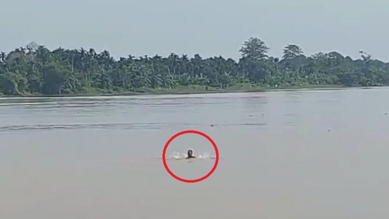 title Dramatis! Polisi Tangkap Pencuri Sawit di Jambi, Sempat Lompat ke Sungai Batanghari Dramatis! Polisi Tangkap Pencuri Sawit di Jambi, Sempat Lompat ke Sungai Batanghari