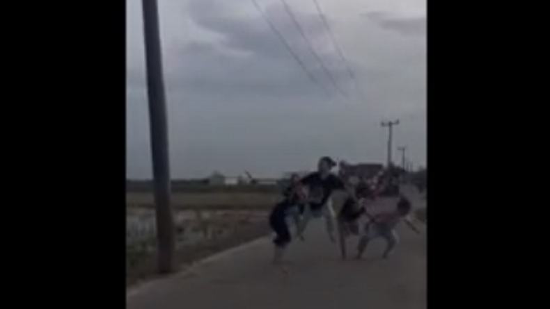 title Viral Perkelahian Sengit 6 Siswi SMP di Karawang hingga Tercebur ke Irigasi Sawah Viral Perkelahian Sengit 6 Siswi SMP di Karawang hingga Tercebur ke Irigasi Sawah