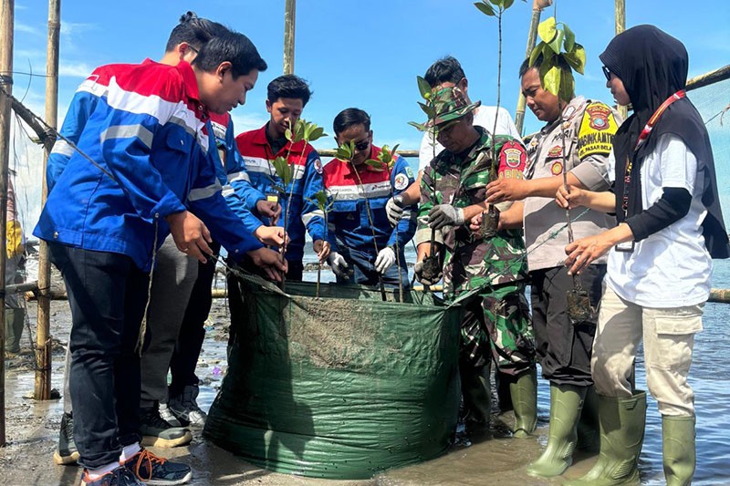 Program Hutan Petrofin Dukung Net Zero Emission 2060 - Bagian 1