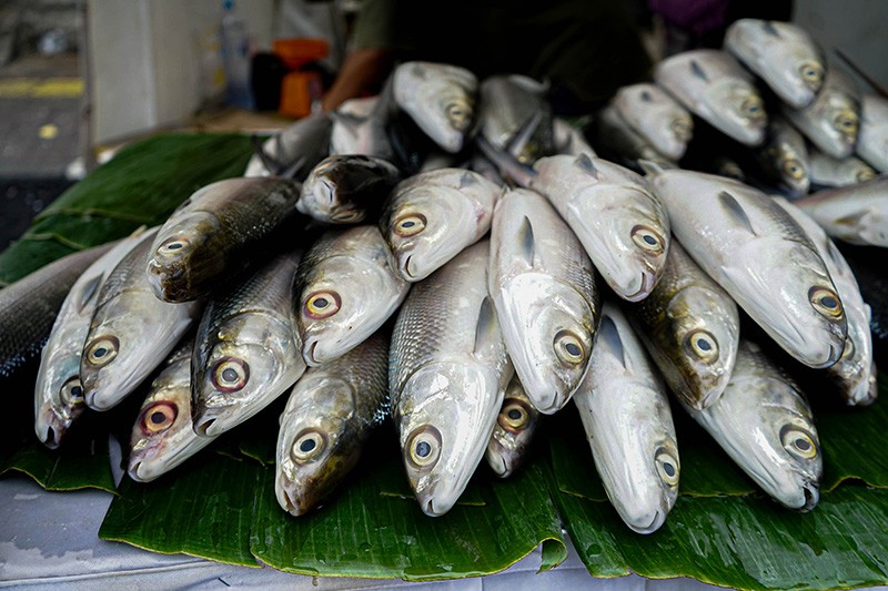 Festival Bandeng Rawa Belong Sambut Tahun Baru Imlek 2025 - Bagian 3