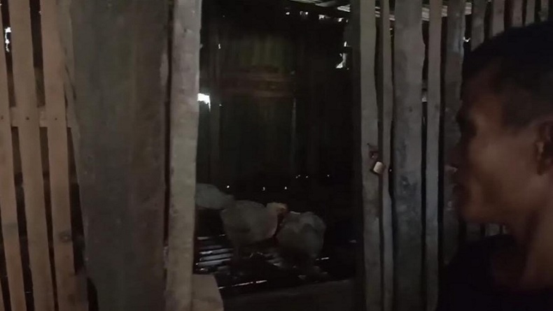 Pilu! Bocah di Nias Selatan Disiksa Keluarga, Tidurnya di Kandang Bersama Ayam