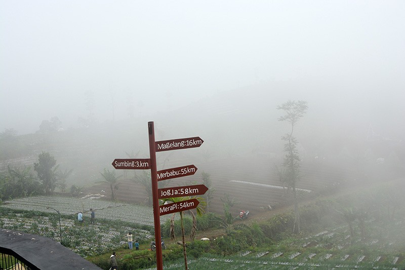 Keindahan Panorama Alam Lereng Gunung Sumbing - Bagian 4