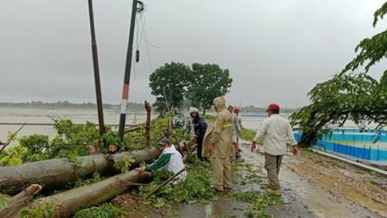 title 300 Rumah di Indramayu Terdampak Banjir Rob, Warga Diminta Tetap Tenang 300 Rumah di Indramayu Terdampak Banjir Rob, Warga Diminta Tetap Tenang