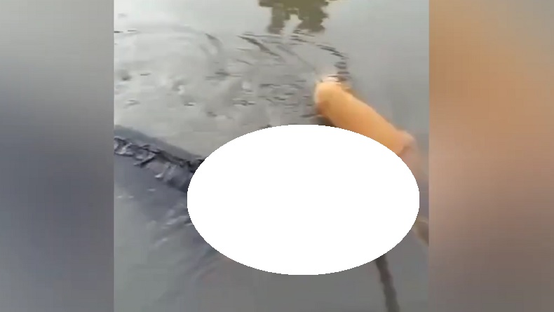 title Kronologi Siswi SMA di Jombang Ditemukan Tewas, Sempat Pamit ke Keluarga untuk COD Kronologi Siswi SMA di Jombang Ditemukan Tewas, Sempat Pamit ke Keluarga untuk COD