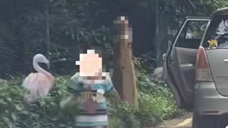 Viral Pengunjung Taman Safari Keluar dari Mobil di Area Hewan, Langsung Di-blacklist