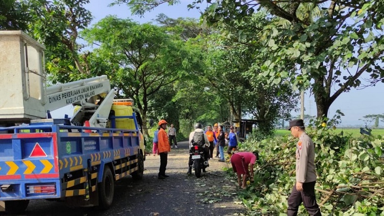 title Pohon Tumbang Timpa Pelajar di Malang, Korban Luka-Luka Dilarikan ke Rumah Sakit Pohon Tumbang Timpa Pelajar di Malang, Korban Luka-Luka Dilarikan ke Rumah Sakit