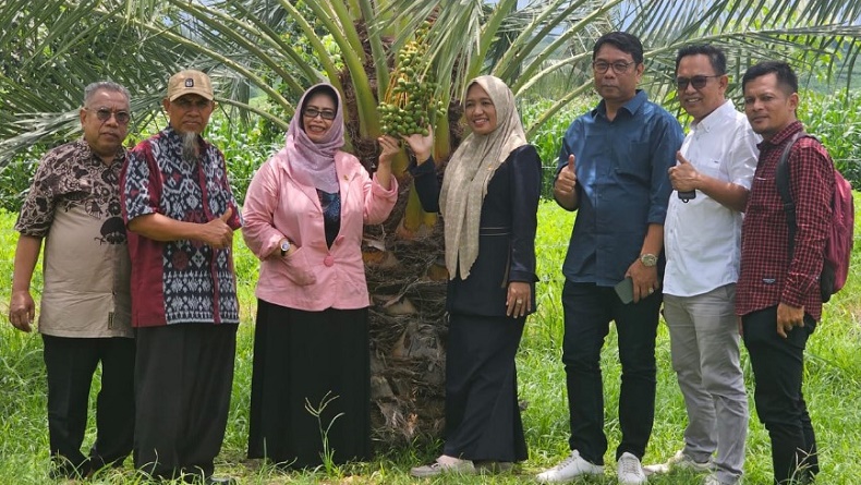 Rohani Anggota DPRD NTB dari Partai Perindo Dorong Pengembangan Kurma di Lombok Utara
