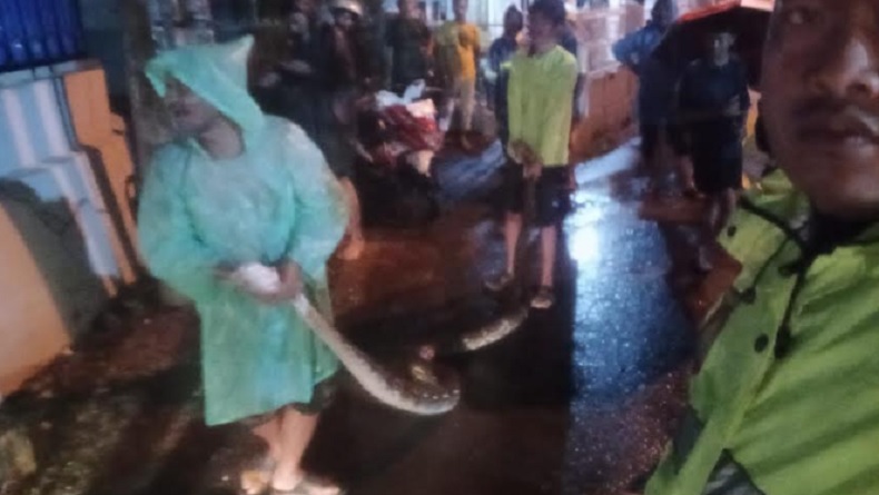 title Ngeri, Warga Lampung Digigit Ular saat Banjir Ngeri, Warga Lampung Digigit Ular saat Banjir