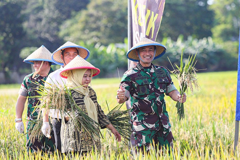 Potret Panen Padi untuk Ketahanan Pangan Nasional  - Bagian 1