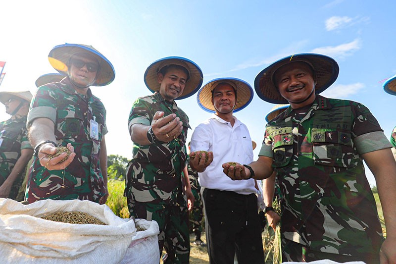 Potret Panen Padi untuk Ketahanan Pangan Nasional  - Bagian 2