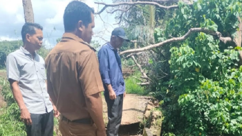 Hujan Deras, Jembatan Penghubung Dusun Margomulyo-Totomulyo Lampung Ambruk