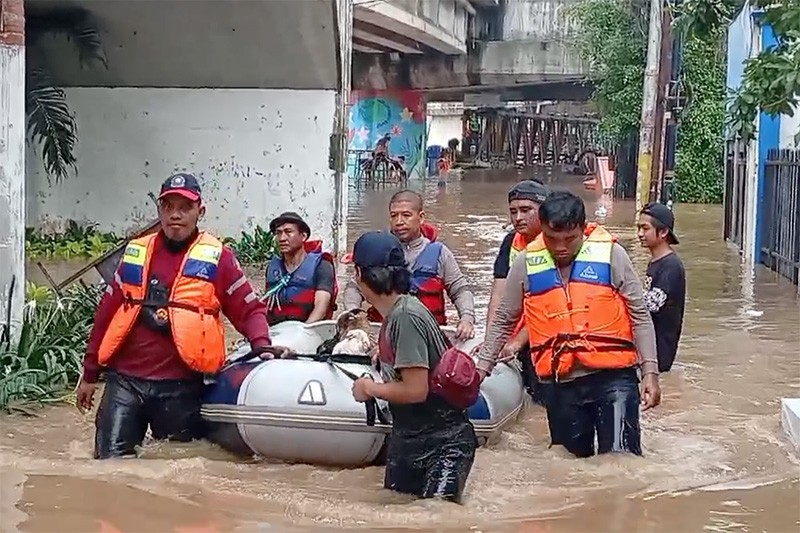 Dramatis! Damkar Evakuasi 15 Kambing Terjebak Banjir di Bantaran Kali Ciliwung - Bagian 3