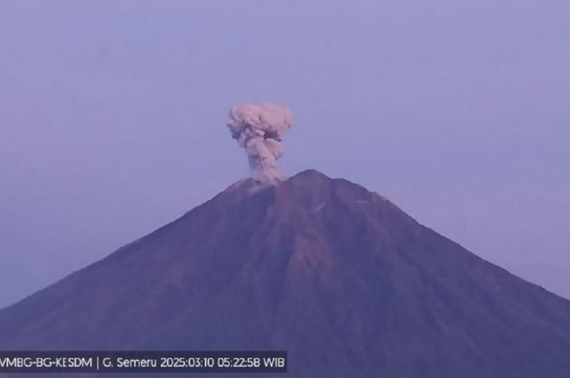 Gunung Semeru Erupsi Hari Ini, Luncurkan Abu Vulkanis Setinggi 1 Km