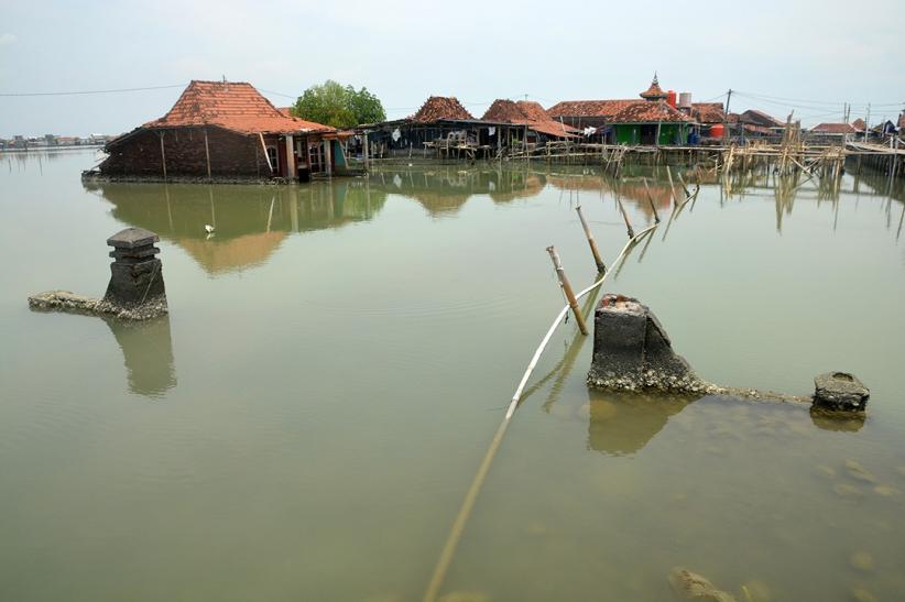 Potret Desa Timbulsloko Tenggelam Tergerus Abrasi dan Banjir Rob - Bagian 1