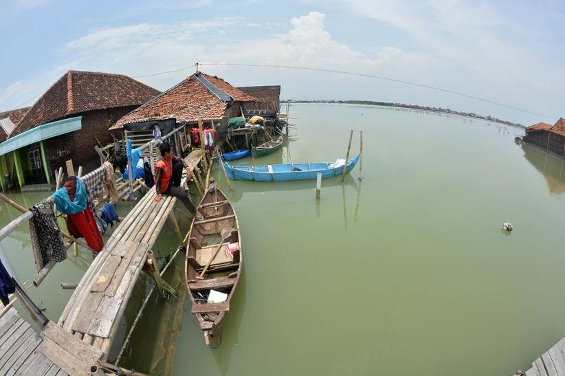 Potret Desa Timbulsloko Tenggelam Tergerus Abrasi dan Banjir Rob - Bagian 5