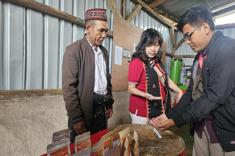 Petani Binaan Yayasan Astra Konsisten Kembangkan Komoditas Kopi dan Kakao di Manggarai Timur - Bagian 4