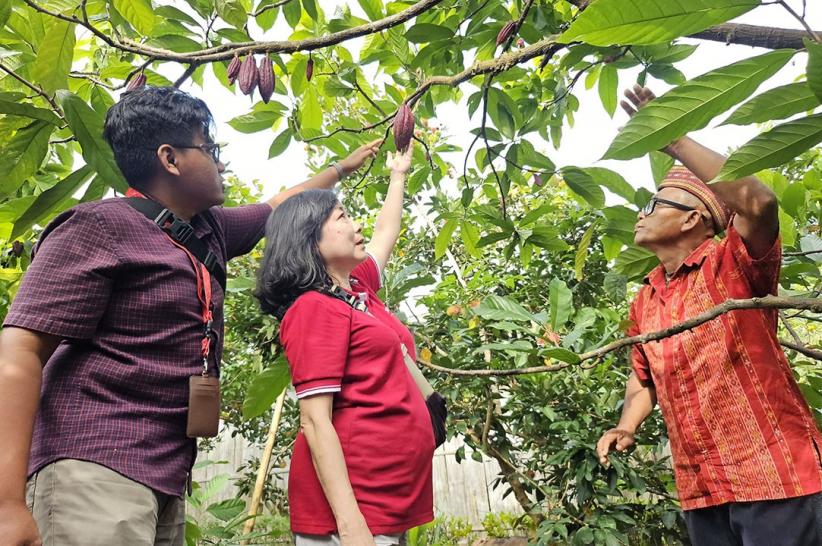 Petani Binaan Yayasan Astra Konsisten Kembangkan Komoditas Kopi dan Kakao di Manggarai Timur - Bagian 2