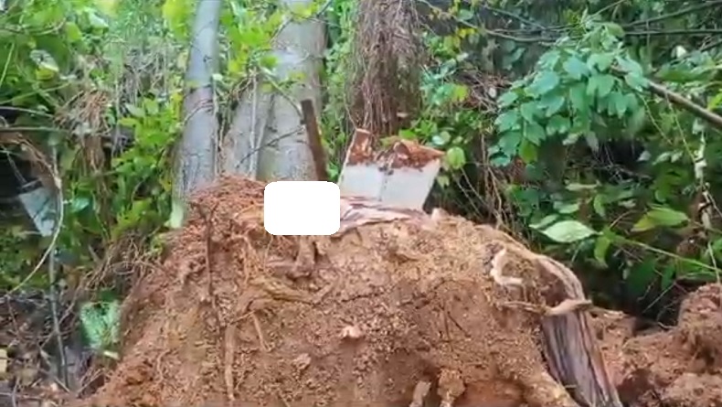title Pohon Besar Tumbang Rusak Permakaman di Palembang, Mayat Terangkat ke Luar Pohon Besar Tumbang Rusak Permakaman di Palembang, Mayat Terangkat ke Luar