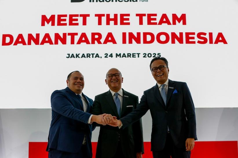 Daftar Lengkap Pengurus Danantara - Bagian 2