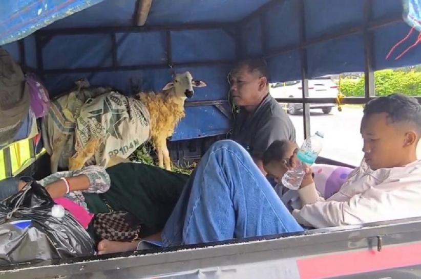 Ada-ada Saja, Pemudik Bawa Kambing Kesayangan karena Takut Hilang saat Ditinggal