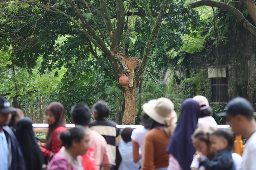 95.000 Lebih Pengunjung Padati Taman Margasatwa Ragunan Hari Ini - Bagian 1