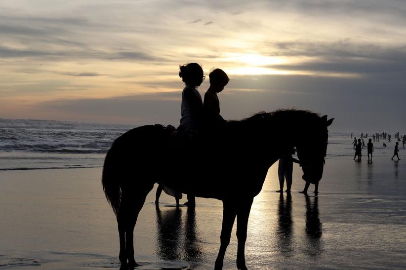 Serunya Keliling Pantai Parangtritis Naik Delman - Bagian 5