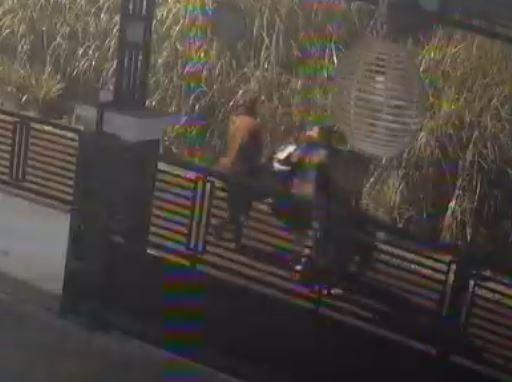 Viral Maling Bersenpi Santai Gotong Motor Curian di Salatiga