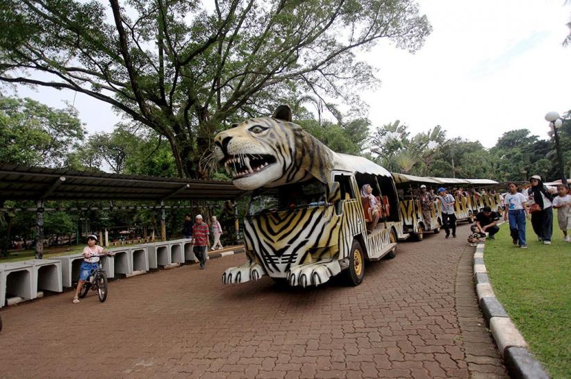 19 Ribu Orang Berwisata di Taman Margasatwa Ragunan - Bagian 2