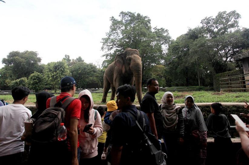 19 Ribu Orang Berwisata di Taman Margasatwa Ragunan - Bagian 4