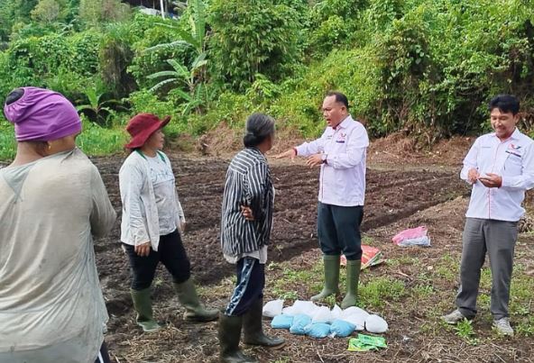 Bangun Ketahanan Pangan, Partai Perindo Mentawai Bantu Bibit dan Pupuk ke Petani