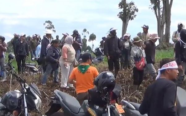 Viral Petani Pengalengan Protes Alih Fungsi Kebun Teh jadi Sayuran