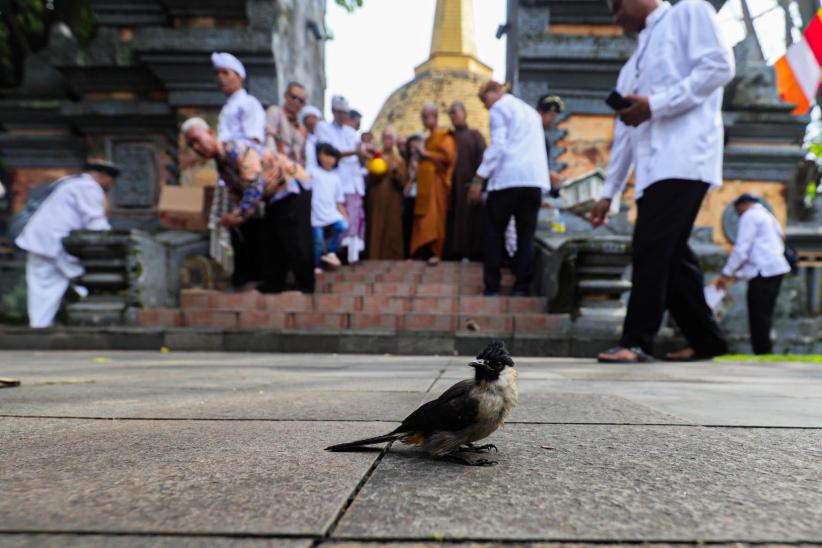 Prosesi Puja Bakti Peringati Waisak 2569 di Jakarta - Bagian 6