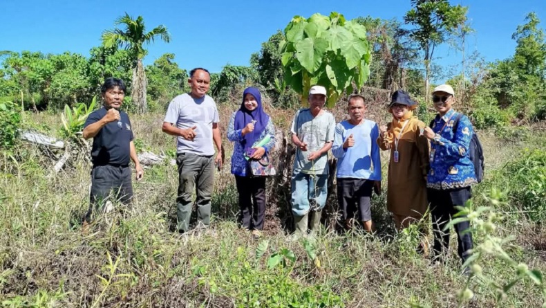 Legislator Perindo Dorong Swasembada Pangan di Kepulauan Mentawai Lewat Survei Lapangan