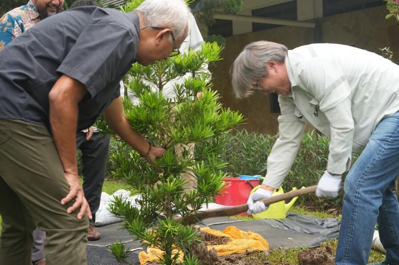 Kontribusi Terhadap Pelestarian Alam dengan Penanaman Pohon - Bagian 3