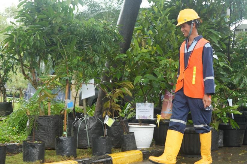 Kontribusi Terhadap Pelestarian Alam dengan Penanaman Pohon - Bagian 1