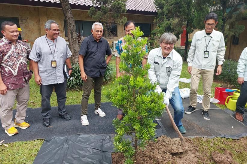 Kontribusi Terhadap Pelestarian Alam dengan Penanaman Pohon - Bagian 2