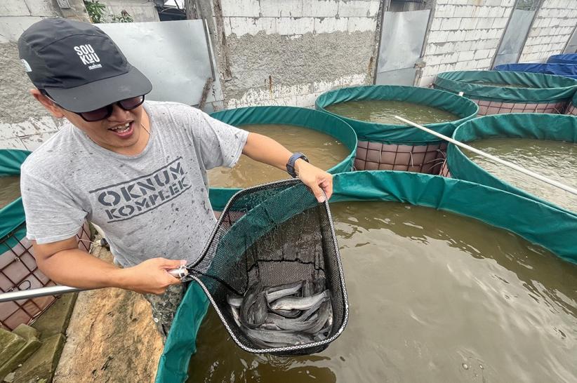 Dari Kamera ke Kolam: Fotografer Ini Sukses Beralih Jadi Peternak Ikan Lele - Bagian 4