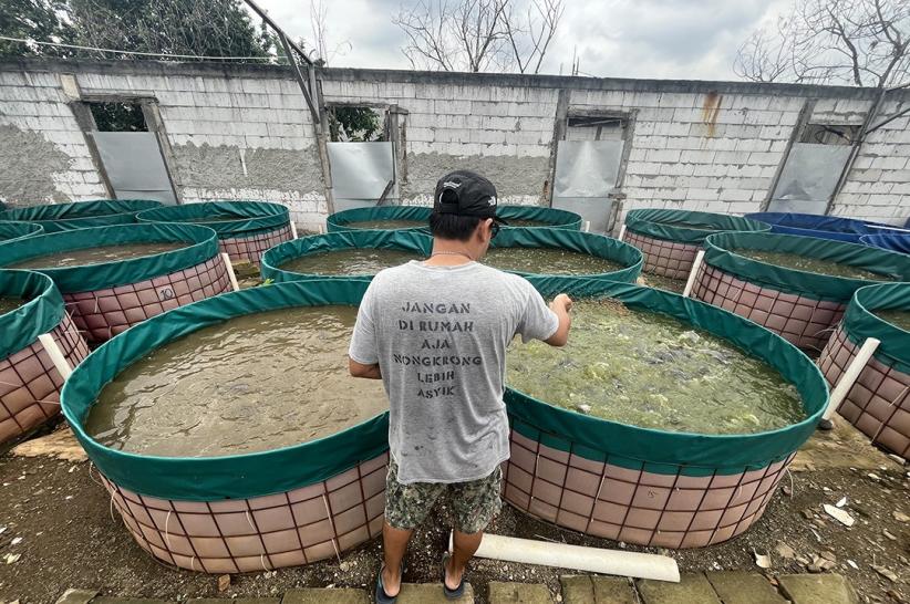 Dari Kamera ke Kolam: Fotografer Ini Sukses Beralih Jadi Peternak Ikan Lele - Bagian 2