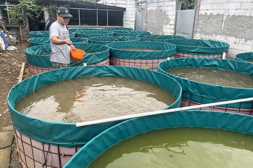 Dari Kamera ke Kolam: Fotografer Ini Sukses Beralih Jadi Peternak Ikan Lele - Bagian 5
