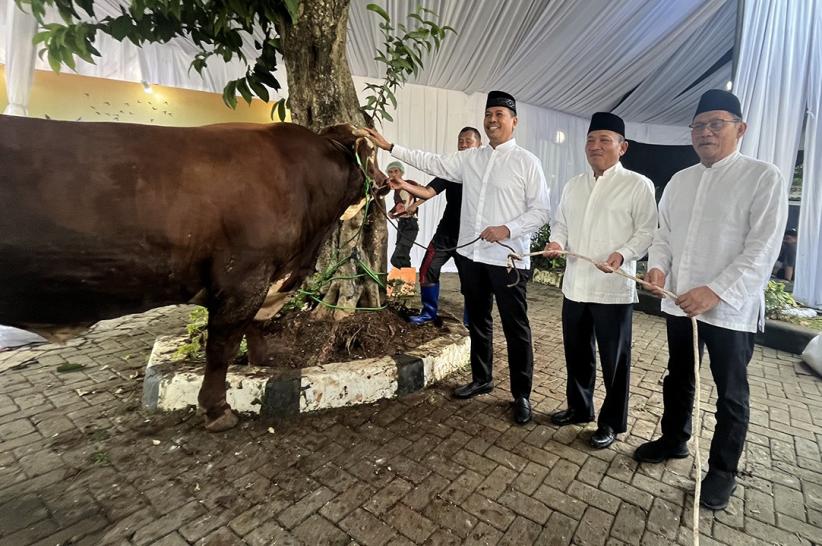 Iduladha 1446 H, BSI Distribusikan 15.272 Hewan Kurban untuk Dhuafa - Bagian 1