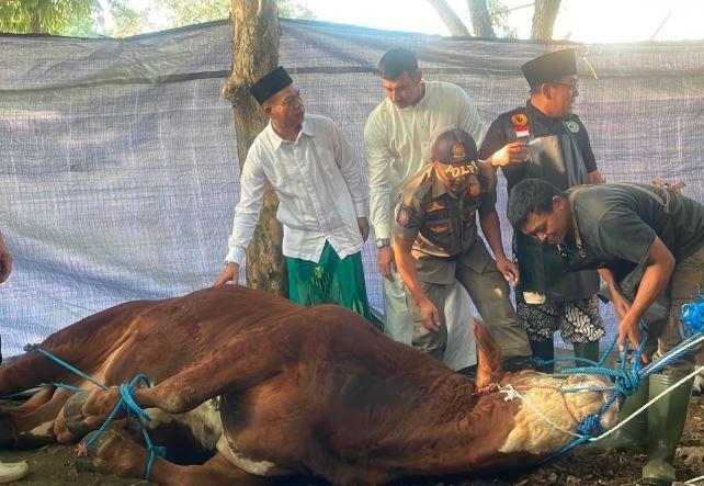 Bandung Sembelih 36.000 Hewan Kurban, 1 di Antaranya Sapi Presiden Prabowo