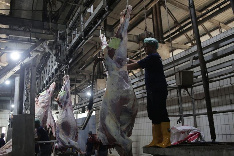 Melihat Kesibukan Ratusan Tukang Jagal Hewan Kurban di RPH Cakung - Bagian 4