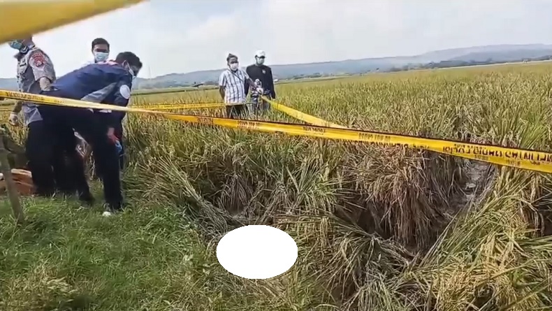 Terungkap, Wanita Ditemukan Tewas di Sawah Tuban Ternyata Dibunuh Pacar