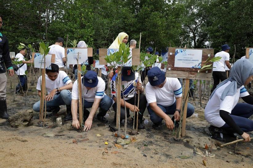 Aksi Penanaman 3.000 Bibit Mangrove di Batam - Bagian 4