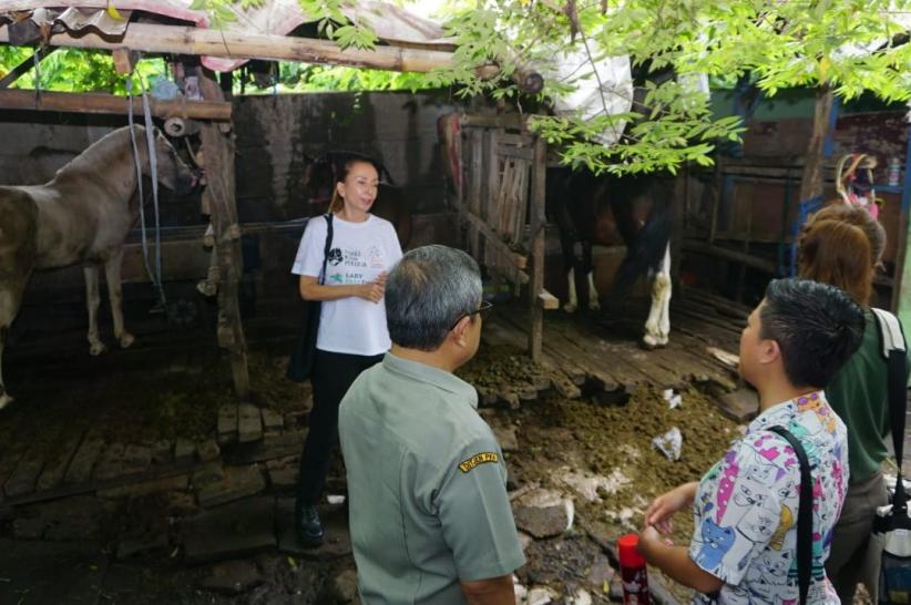 Klinik Hewan Keliling Pertama untuk Kuda Delman di Jakarta - Bagian 1