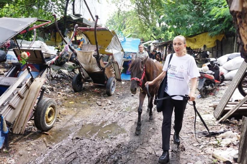 Klinik Hewan Keliling Pertama untuk Kuda Delman di Jakarta - Bagian 4