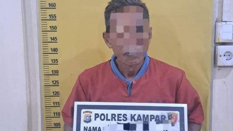 Pembakar Lahan di Dekat Tol Trans Sumatera Ditangkap Polisi
