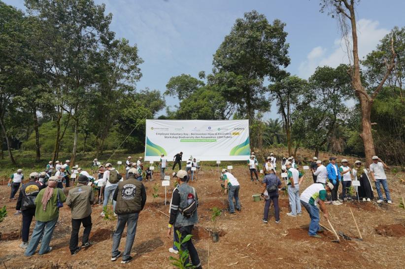 Ribuan Pohon Ditanam, IPB Perluas Kawasan Hijau Kampus Dramaga - Bagian 1