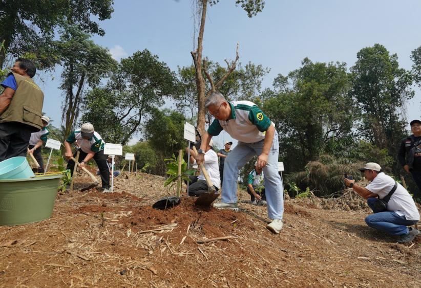 Ribuan Pohon Ditanam, IPB Perluas Kawasan Hijau Kampus Dramaga - Bagian 2